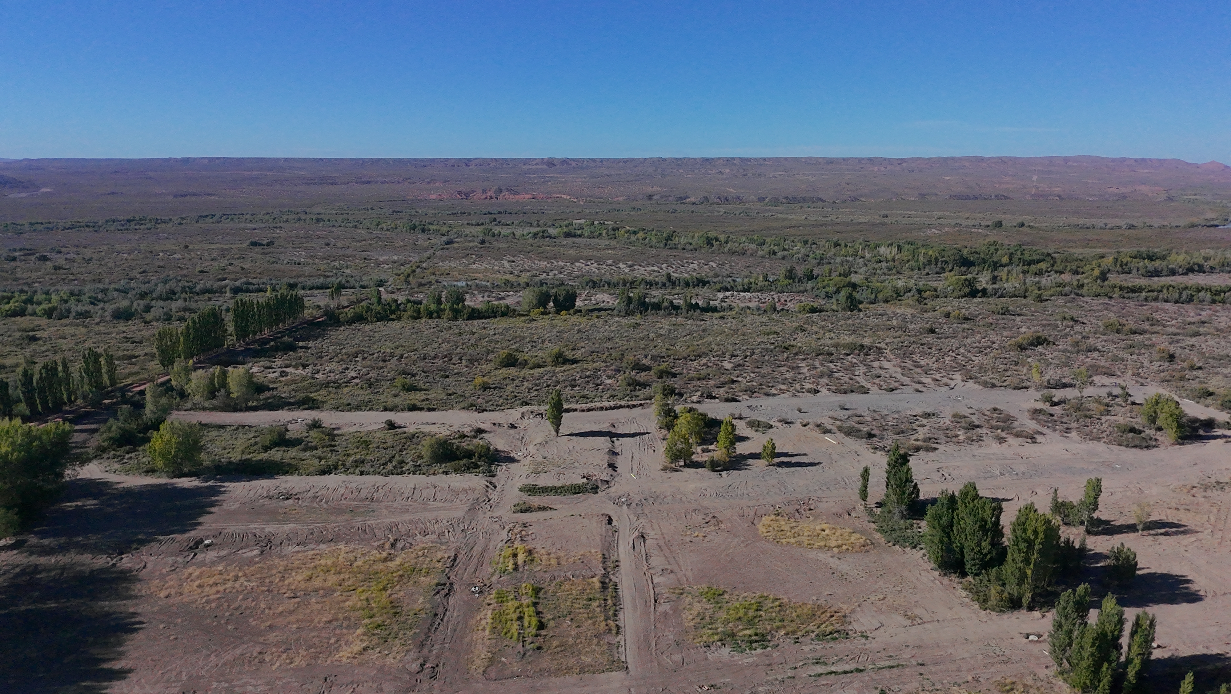 La Forestada - Lotes en Añelo